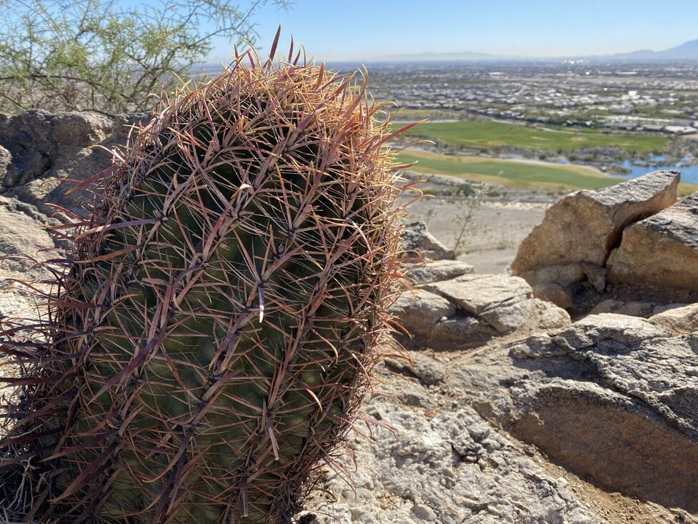 Hiking the Victory Stairs, Verrado Stairs in Buckeye With Kids